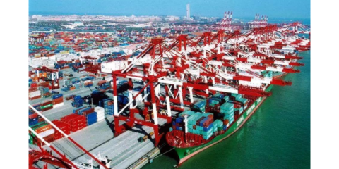 奉贤区货物检验代理服务 以客户至上为核心理念，助力货物及技术进出口高效通关